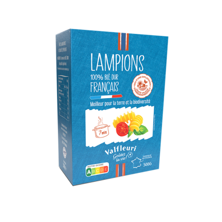 Lampions