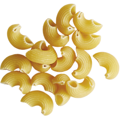 image miniature Coquilles