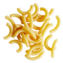 Pâtes Macaroni