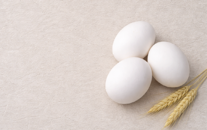 Pâtes protein