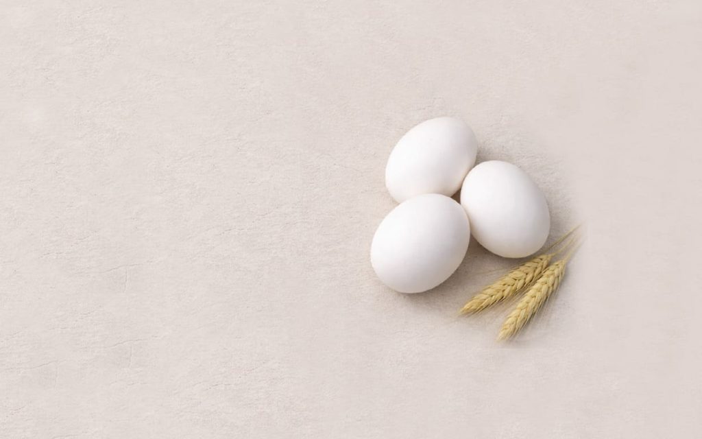Illustration de la gamme Pâtes Protein
